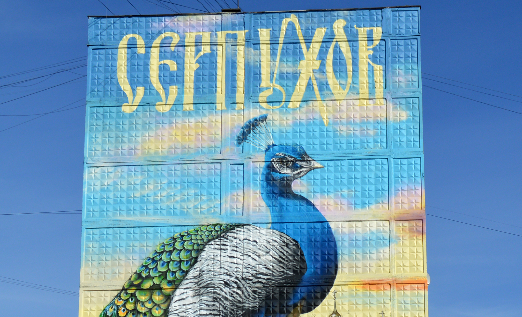 Граффити «Гигантский павлин»