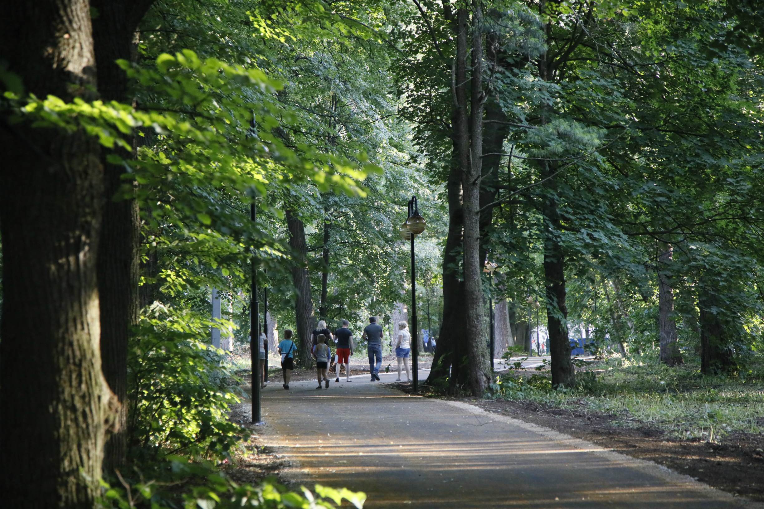 Парк усадьбы «Липицы»