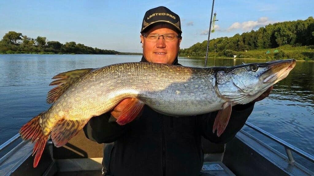 Рыбное место на Оке в Серпухове