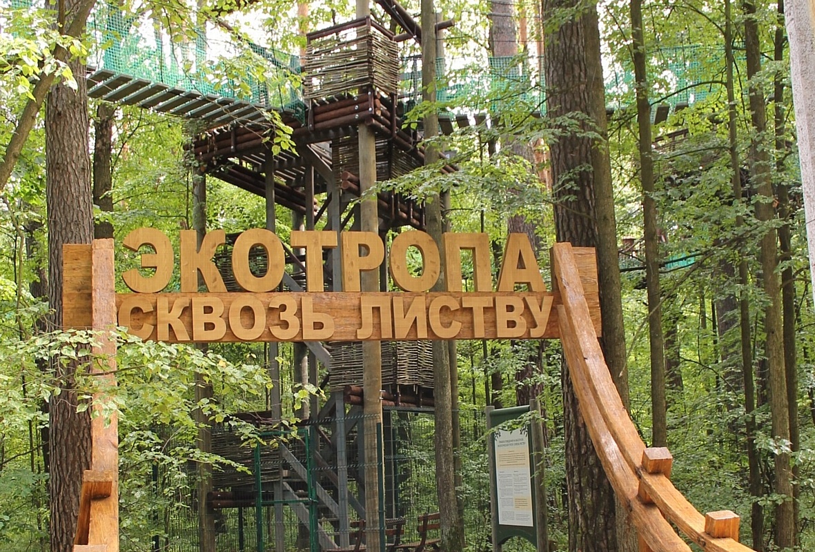 Высотная экологическая тропа «Сквозь листву»