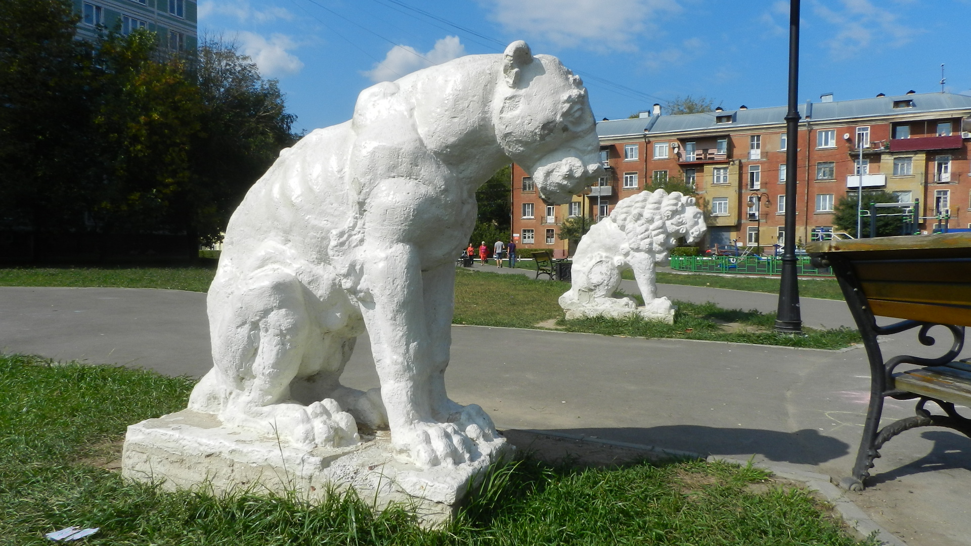 Грустные львы