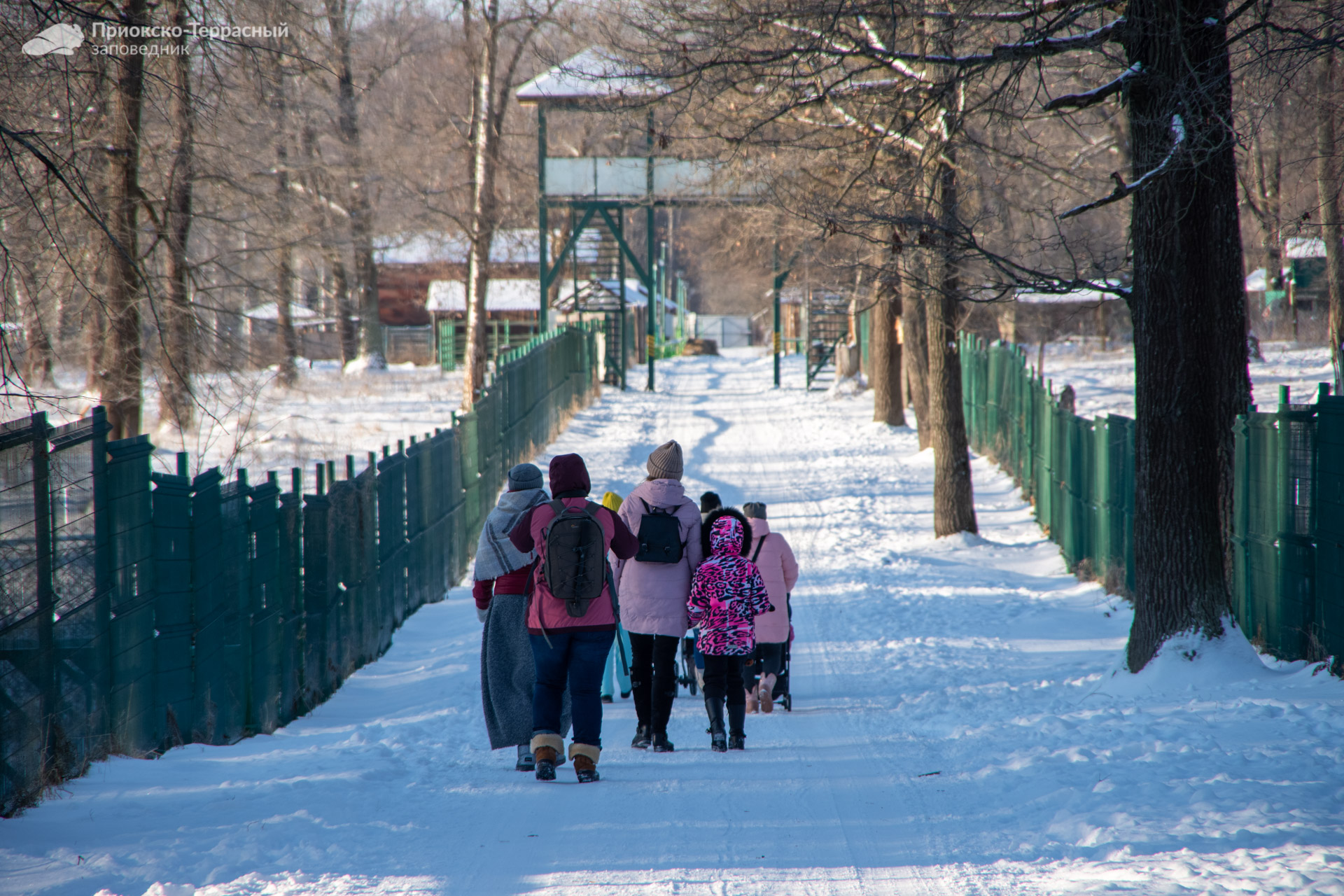 Важная информация для посетителей Приокско-Террасного заповедника!