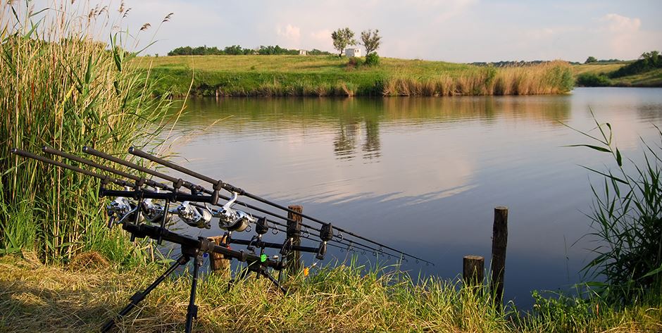 Рыбалка в «Петрухино-клуб»