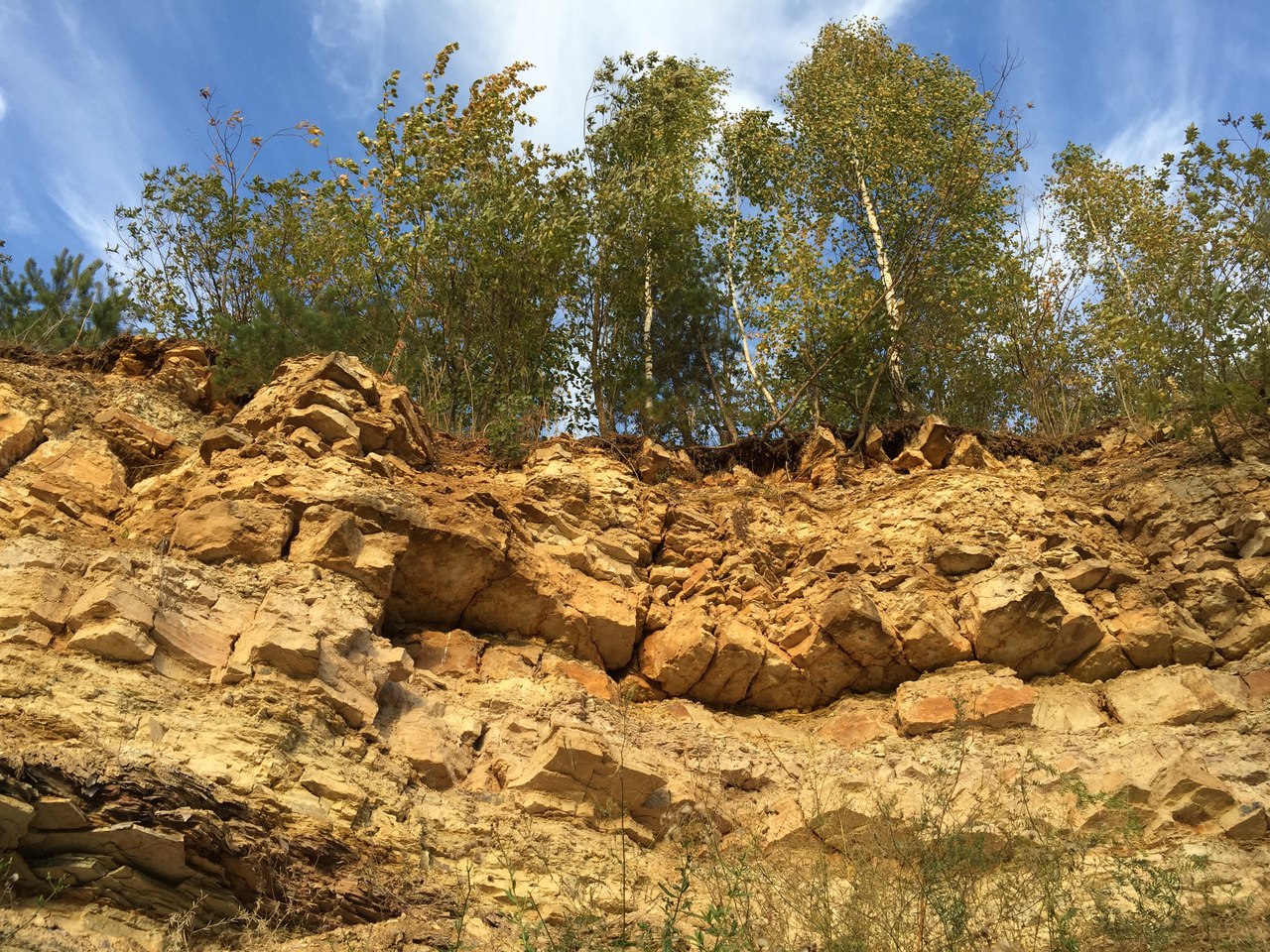 Серпуховский ярус