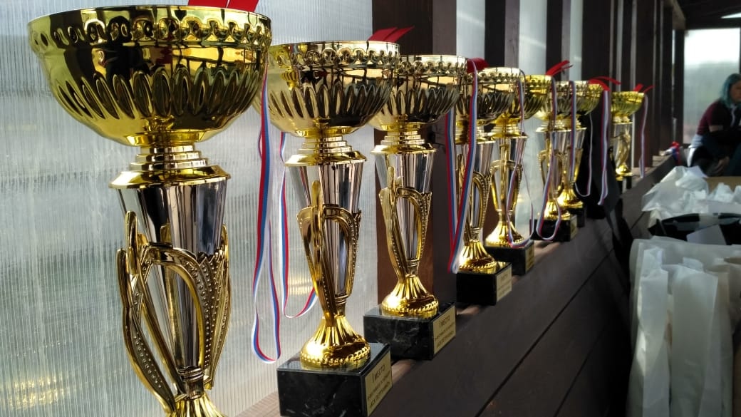 В Петрухино состоялся фестиваль на кубок Главы г.о. Серпухов по конкуру